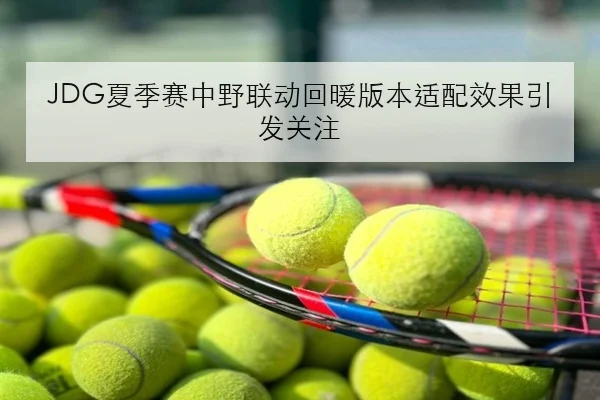 JDG夏季赛中野联动回暖版本适配效果引发关注